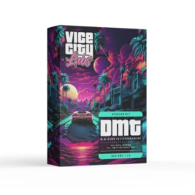 Buy DMT Vape Kit 1ml/800mg (Cartridge + Battery)