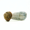 Buy Blue Meanie Mushroom